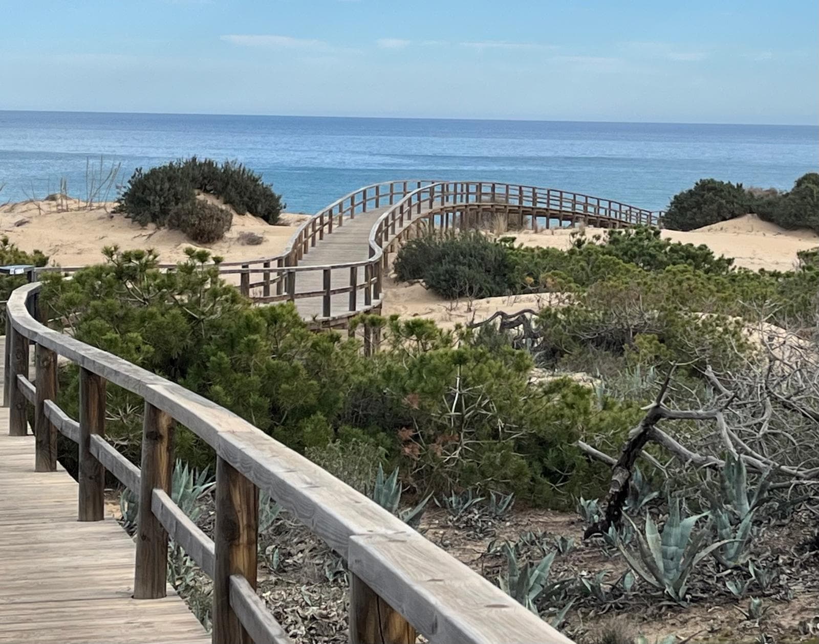 Strand & Duinen van Moncayo